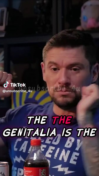 The shapeshifter is a mythical being found in folklore worldwide, capable of physically transforming from one form to another, often through magical means . This concept appears in the oldest human literature, from the shapeshifting gods of Greek mythology like Zeus (who transformed into a swan or bull) to the werewolf legends of medieval Europe . In modern usage, the term has evolved to also describe people who frequently change their opinions or loyalties, similar to a