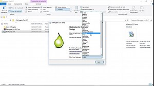 Instalação e Ativação do Defraggler Pro 2017 (Install and activate)