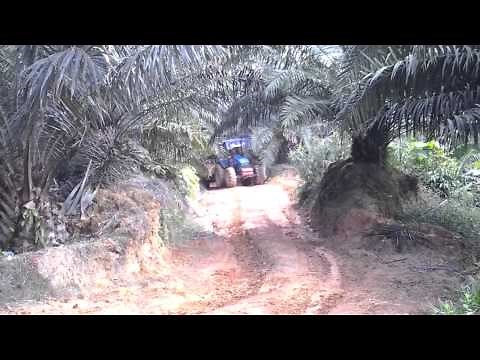 PTO driven trailer for palm oil