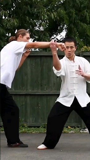 Everybody is Kung Fu Fighting #kungfumaster #kungfu