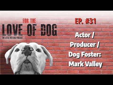 Actor / Producer / Dog Foster: Mark Valley | For the Love of Dog