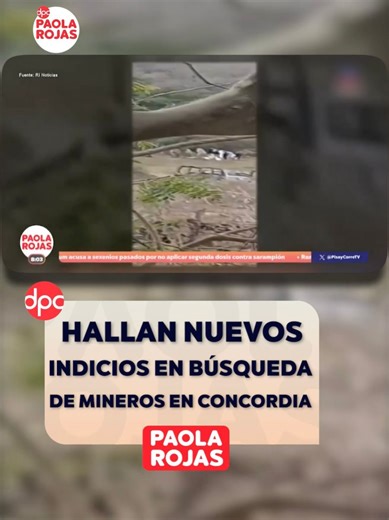 Autoridades federales y estatales continúan los trabajos en las recientes fosas clandestinas en #Concordia, #Sinaloa. En el lugar fueron localizados más indicios que podrían pertenecer a los mineros desaparecidos. #NoticiasDigital #PaolaRojasDPC @paolarojas