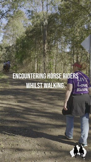 Check out one of our educational videos about interactions with horses on trails. Go Slow and Say Hello Trail Campaign! | Australian Trail Horse Riders Association