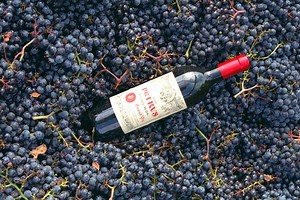 Pétrus Wine: Facts About This Expensive French Merlot | LoveToKnow