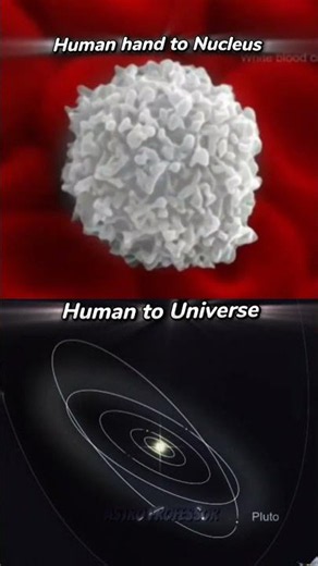How small are we in the universe? 🤔 (partII) #space #shorts