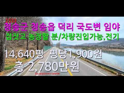 [번호2333}청송군에서 가장 싼 임야 급매물