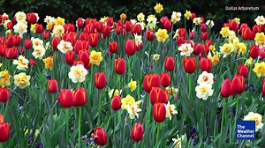 Early Warm Weather Good News for Businesses | Danielle Banks