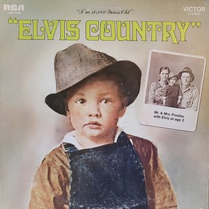 Elvis Presley - Elvis Country (I'm 10,000 Years Old)