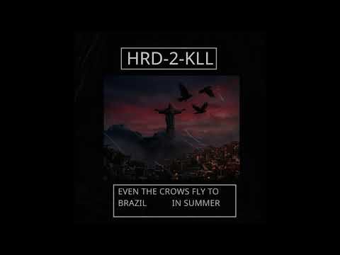Shoegaze Type beat | Even the Crows fly to Brazil in Summer