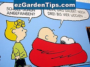 Was sind die Pflanzenprobleme für die Mahonia? 🌱 Tipps Gärtner - De.ezGardenTips.com