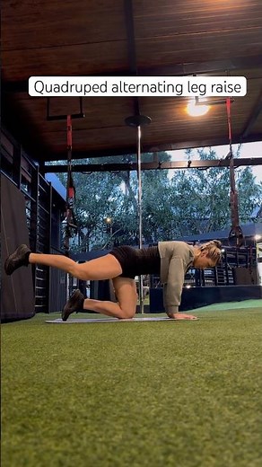 Quadruped alternating leg raise