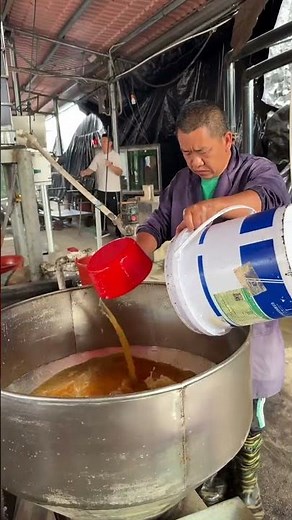 Feeding Millions of Eels: How Farmers Make Nutrient Paste for Giant Eel Farms! 👀