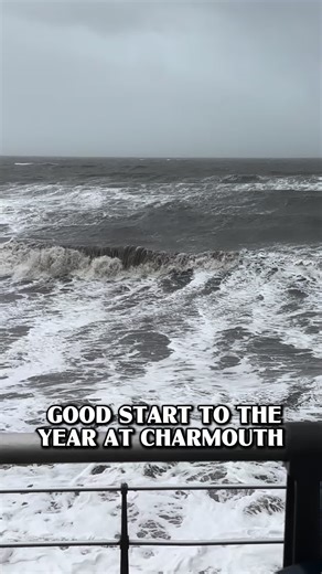 Discover Fascinating Fossils in Charmouth, Dorset