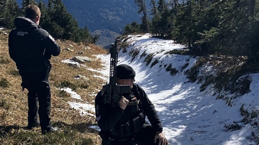 Here’s how to stay safe from bears