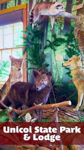 Adventure, relaxation, and memories at Unicoi State Park & Lodge! Plan your vacation: https://us01.iqwebbook.com/ULGA340/ #unicoistatepark #exploregeorgia #northgeorgia #weekendvacation #helenga | Unicoi State Park & Lodge