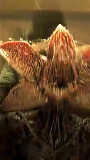 They Are back " Stranger things season 5 #short #youtubeshorts #edit #viral