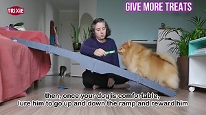 TRIXIE Portable Pet Ramp, Lightweight, Foldable, Easy To Carry 39476
