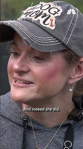 Dog missing for 5 years reunited with family hundreds of miles away