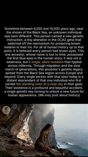 304K views · 3.5K reactions | All blue-eyed people descend from a single ancestor who lived near the Black Sea. #history #ancienthistory #didyouknow #historyfacts | Knowledge | Facebook