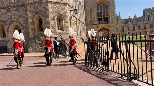 Garter 2025 | Foley’s Photos - sunrise