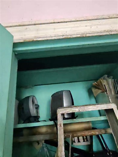 It was a horrific scene inside a home in Flushing Queens today after the owner of half of dozen cats died during the last snow storm and was discovered a week later by cops. | John Debacker