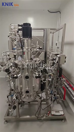 100L Mammalian Cell Bioreactor with Magnetic Mechanical Agitator | Gentle Stirred-Tank Cell Culture