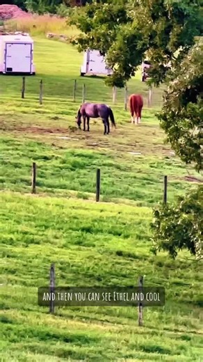 Why This Farm View at Sunset Is My Daily Escape