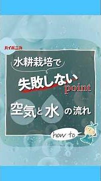 [#Hyponica] Key points to avoid failure in hydroponic cultivation: Air and water flow [#Hydroponi...