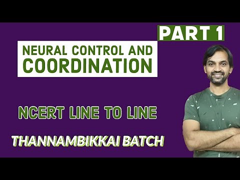 Neural Control And Coordination | Part 1 | Ncert Line to Line | Thannambikkai Batch