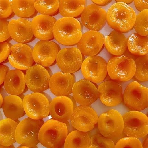 Preparations are underway for the production of canned apricots in 2026. #cannedfoods #apricots