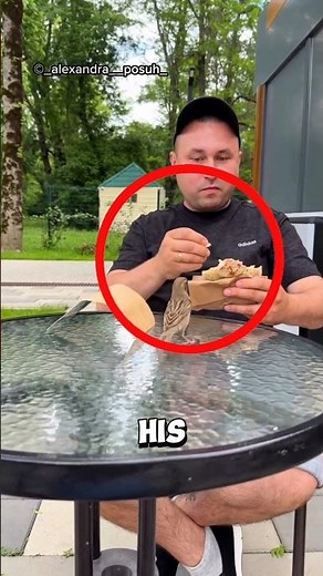How this hungry bird collected a piece of food from a kind man ❤️ #bird
