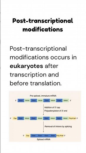 Post-transcriptional modifications