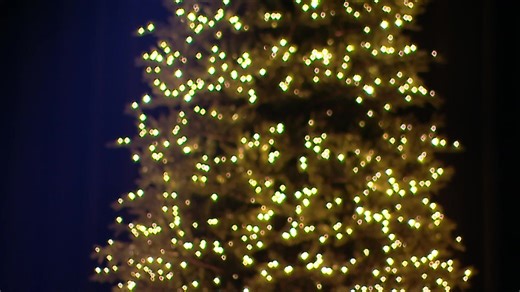 Church Online Service | Christmas at Crossway | Crossway Baptist Church