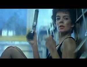 Nikita - Restaurant Scene