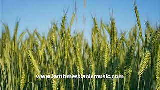 The Year Of The Jubilee Chords - LAMB / JOEL CHERNOFF THE OFFICIAL CHANNEL - ChordU