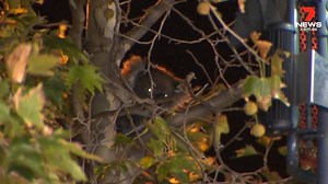 71K views · 330 reactions | MFS crews and animal rescuers have...