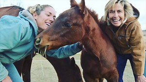 They've saved more than 100 horses in 2 years and they're just getting started. The mission of @believeranchandrescue in Longmont depends on Colorado Gives Day to save more of these beautiful creatures! Help your favorite non-profit, or find one here: https://www.coloradogives.org | Denver7