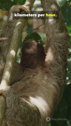 Slowest vs Fastest on Earth