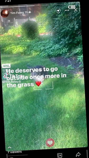 tim foley (@tim.foley8)’s videos with I'll Be Missing You (feat. Faith Evans & 112) [Remastered] [2016 Remaster] - Puff Daddy & The Family