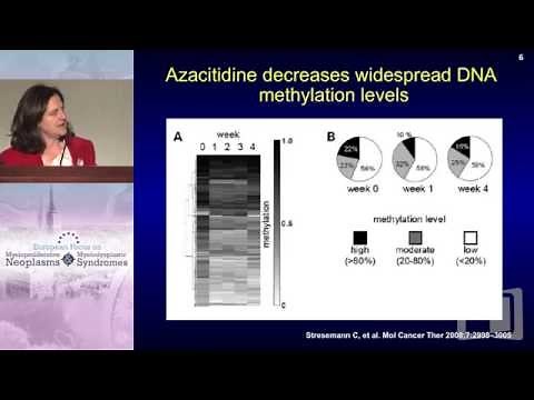 Understanding Efficacy of Azacitidine in Different MDS Subgroups