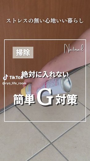 夏こそやるべき！簡単なゲジゲジ対策と効果的な置き場所の紹介
