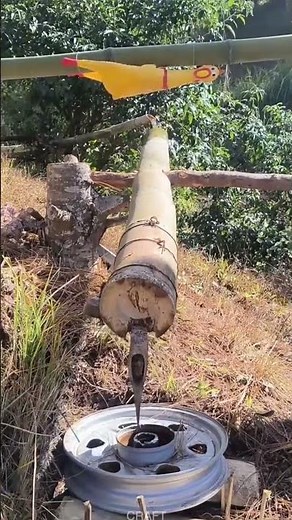 DIY Bird Deterrent: Make It Yourself in 10 Mins