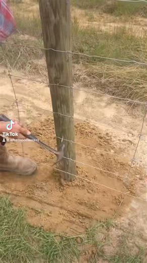 Fencing staple hack #didyouknow #nowayguy #todayyearsold #todayilearned #lifehack #toolhack #nowyouknow | Shaun Umscheid - What? Nooo Waaay Guy