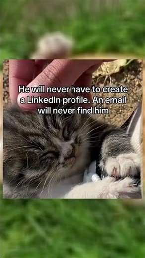 #IT #ITMemes #ITMeme #TechHumor #Tech #Humor #CodingMemes #Coding #Memes