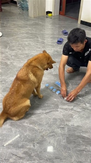 How did Dahuang figure it out?