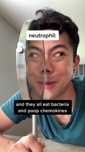 Pockets4Bees Video Recreation: Neutrophil Shenanigans
