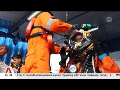 Commercial diving association calls for licensing system for firms following fatal incidents