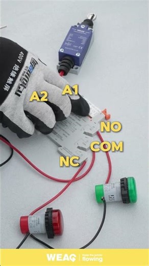 Relay Ports Made Clear: Limit Switch to Lights.