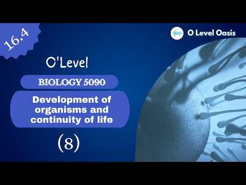 Puberty in Males | Chapter 16 | Unit 16.4 | Sexual Reproduction in Humans