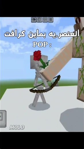 الغنصريه بماين كرافت 🗿😂 #ماين_كرافت #Minecraft